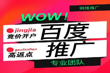 百度推广返点案例：品牌知名度提升